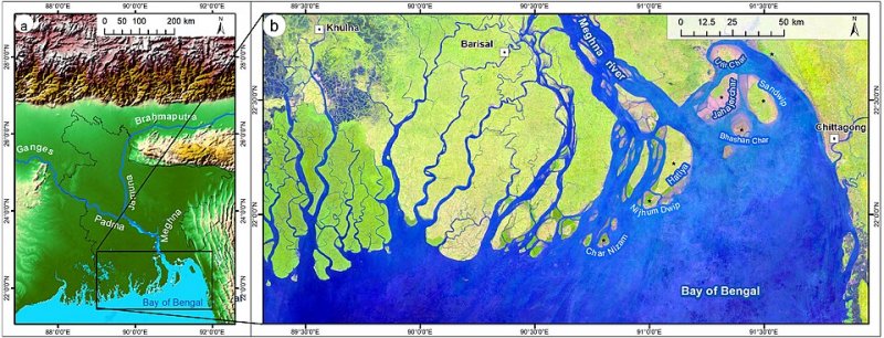 কৃষি উদ্ভাবনের ওপর জোর দিয়ে বাংলাদেশে বিশ্ব খাদ্য দিবস ২০২৬ পালিত