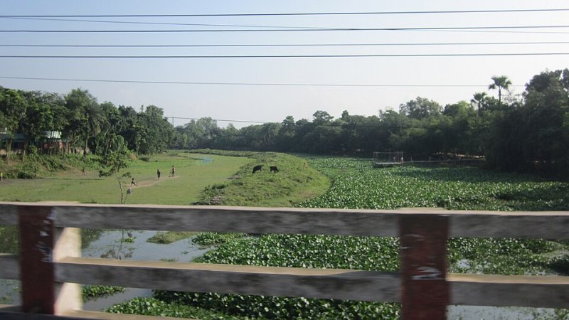 রাজশাহী বিভাগে সুগন্ধি চালের দাম দ্বিগুণ, ভোক্তারা চাপে