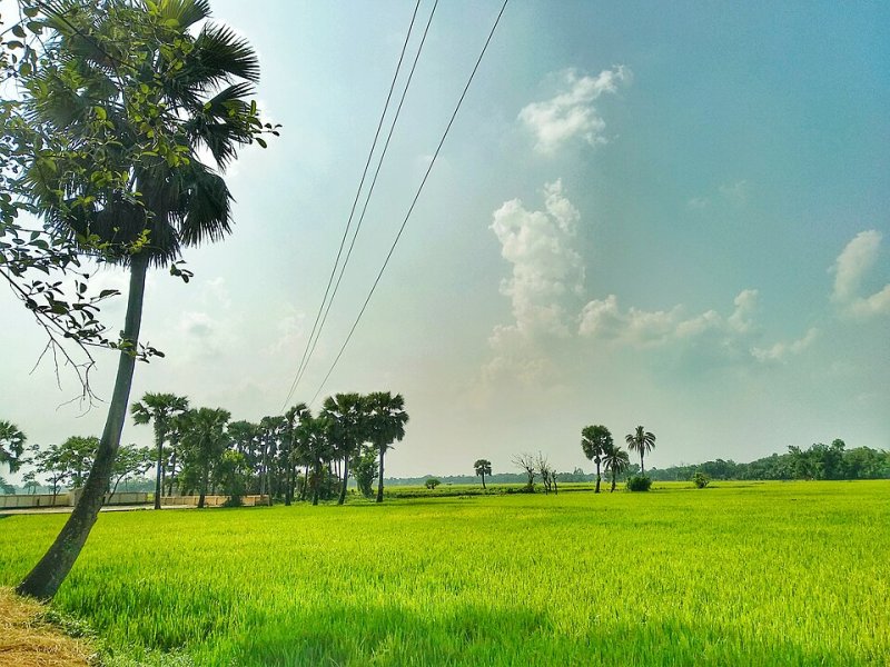 কথিত মারধরের ঘটনার পর রাজশাহী বিশ্ববিদ্যালয়ের শিক্ষার্থীরা রেলপথ অবরোধ