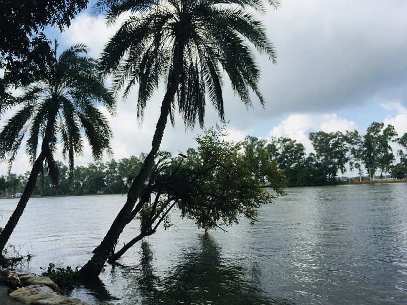 ডেঙ্গু প্রকোপ বৃদ্ধি: ২০২৬ সালে সারাদেশে ৫৯ জনের মৃত্যু, প্রায় ১৮,০০০ সংক্রমণ