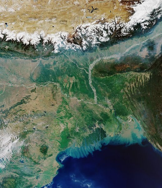 সরকার জলবায়ু-সহনশীল ধান গবেষণায় অগ্রাধিকার দিচ্ছে: মন্ত্রী
