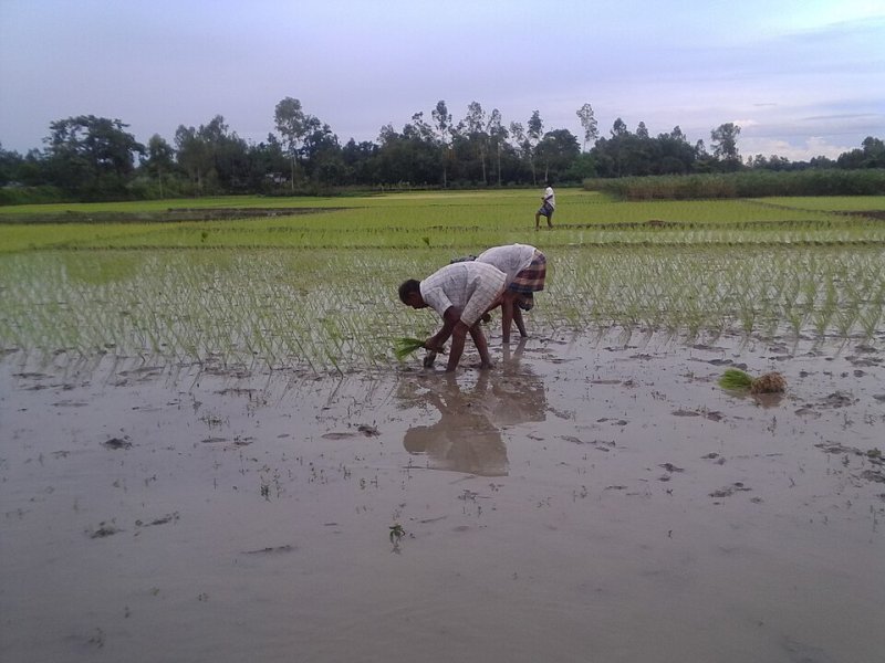 কৃষিকে আরও লাভজনক করার আহ্বান জানালেন রাষ্ট্রপতি