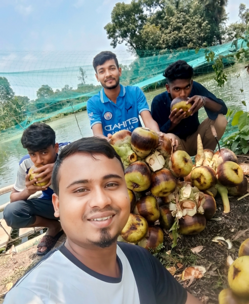 বিশ্ব বাজারে মূল্য বৃদ্ধিতে বাংলাদেশ গম আমদানি কমাচ্ছে, জানাল ইউএসডিএ