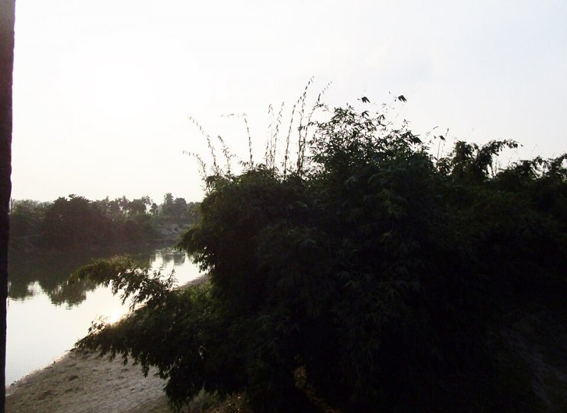 সরকার রাজশাহীর ঐতিহ্যবাহী রেশম শিল্প পুনরুজ্জীবিত করতে উদ্যোগ নিয়েছে