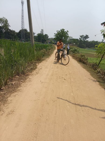 সার সংকট আমন মৌসুমে রাজশাহীর কৃষকদের আঘাত করছে